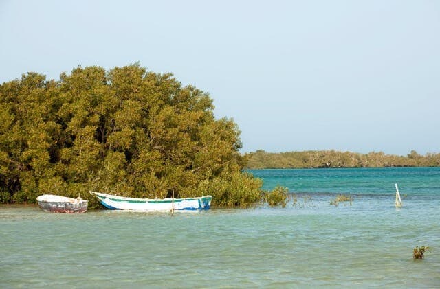Nabq Protected Area