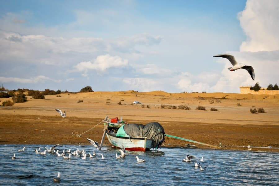 Day Tour To Wadi Hitan And Wadi AL Rayan
