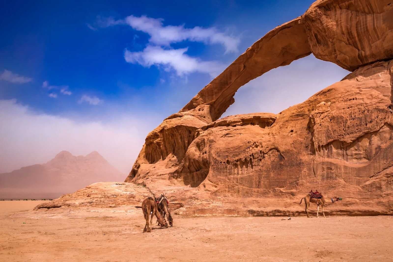 Luxury Jordan Tours