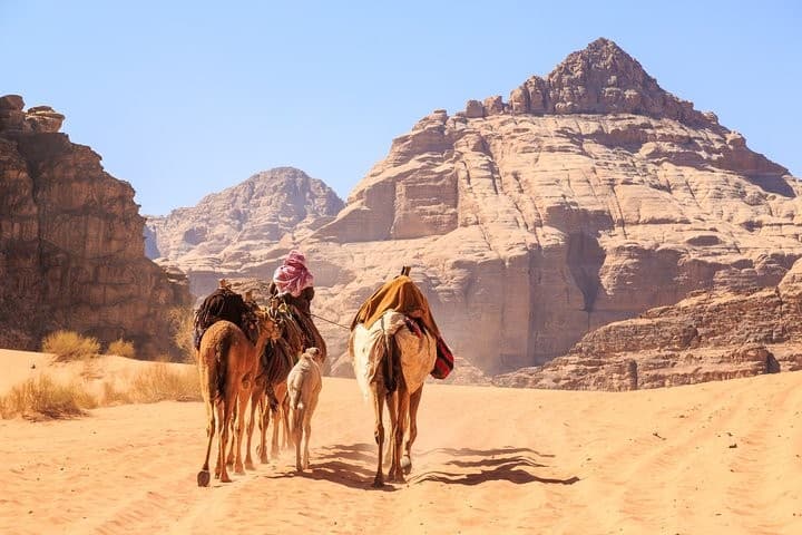 Wadi Rum Trips From Aqaba