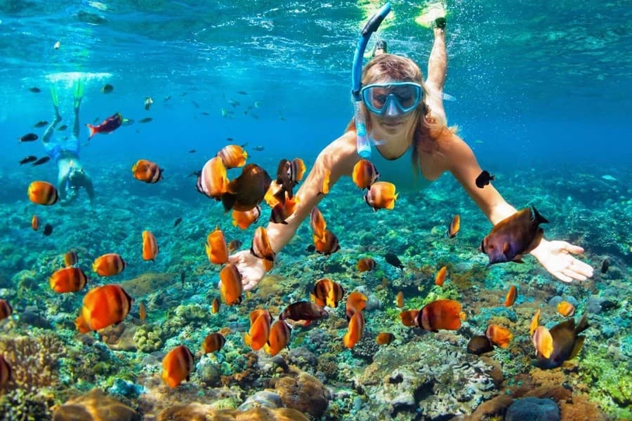 Egypt Deluxe Vacations 12 Days 11 Nights ( Cairo - Aswan - Luxor - Hurghada)