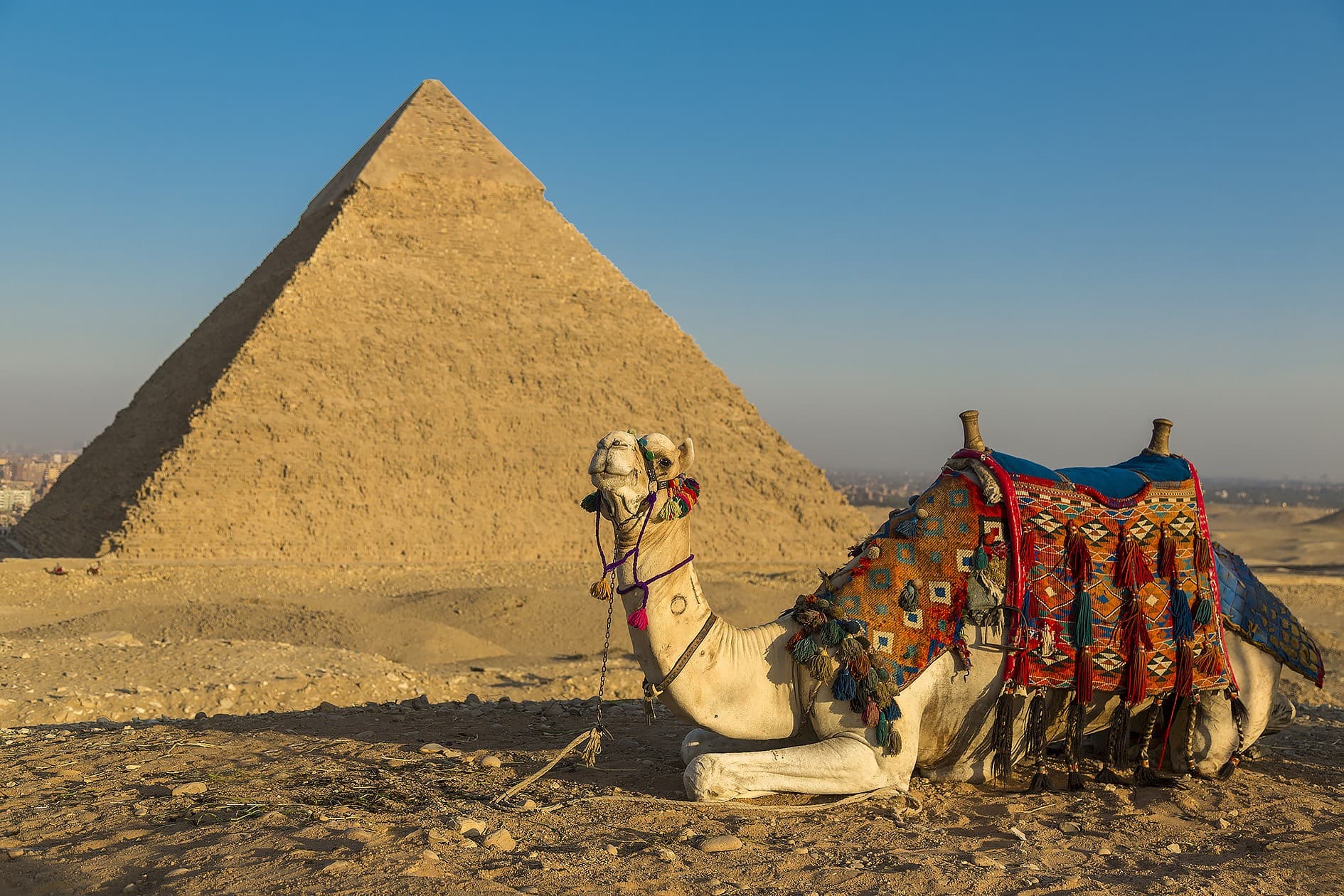 Giza Pyramids ,Sphinx ,Egyptian Museum And Khan El Khalili from Alexandria