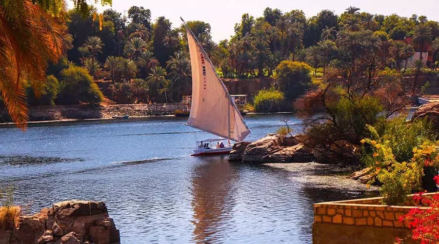 Salouga and Ghazal Nature Reserve in Aswan