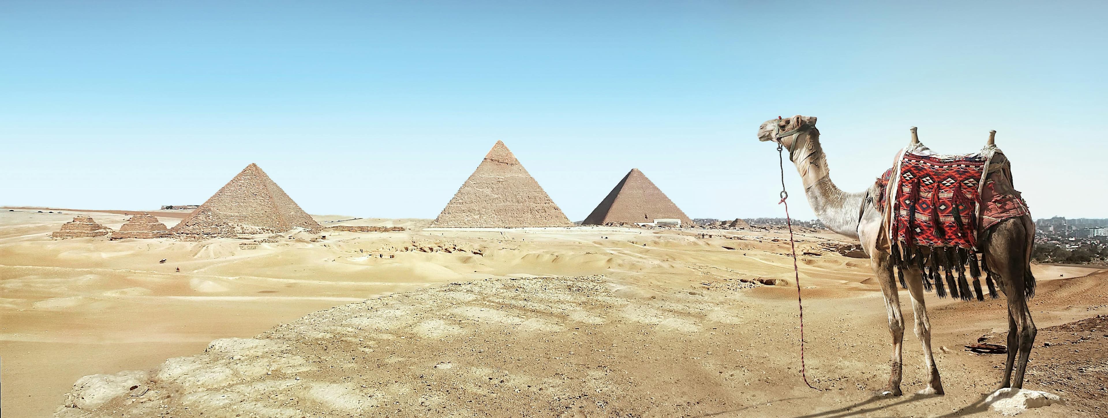 Egypt Sightseeing Tours with Expert Guides
