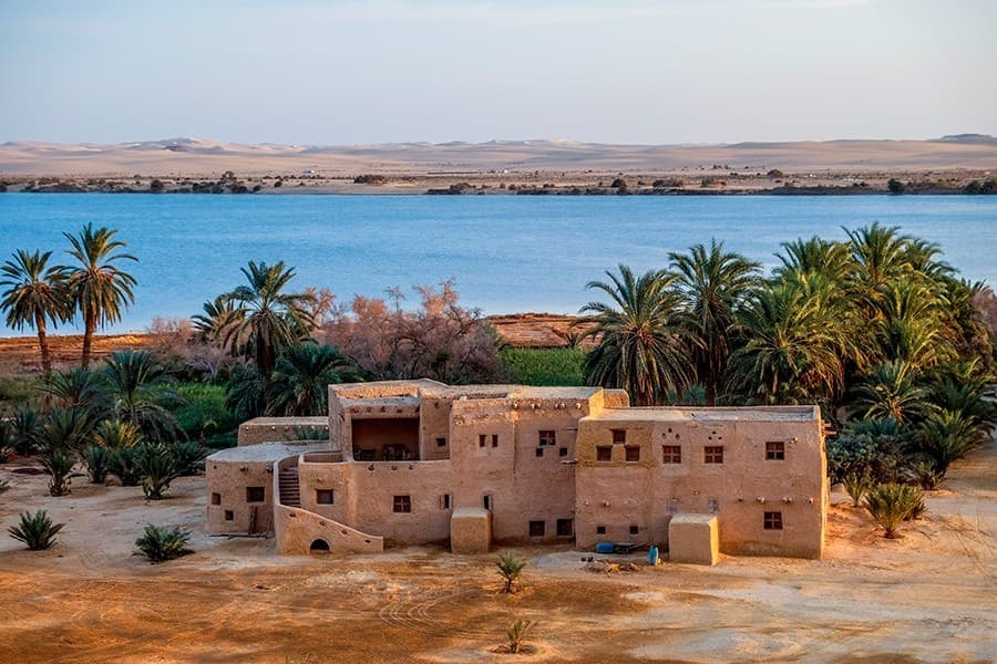 Safari in Siwa for 3 Days