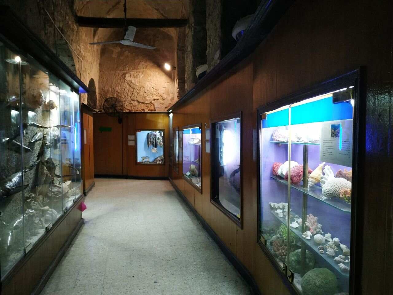 Alexandria Aquarium Museum