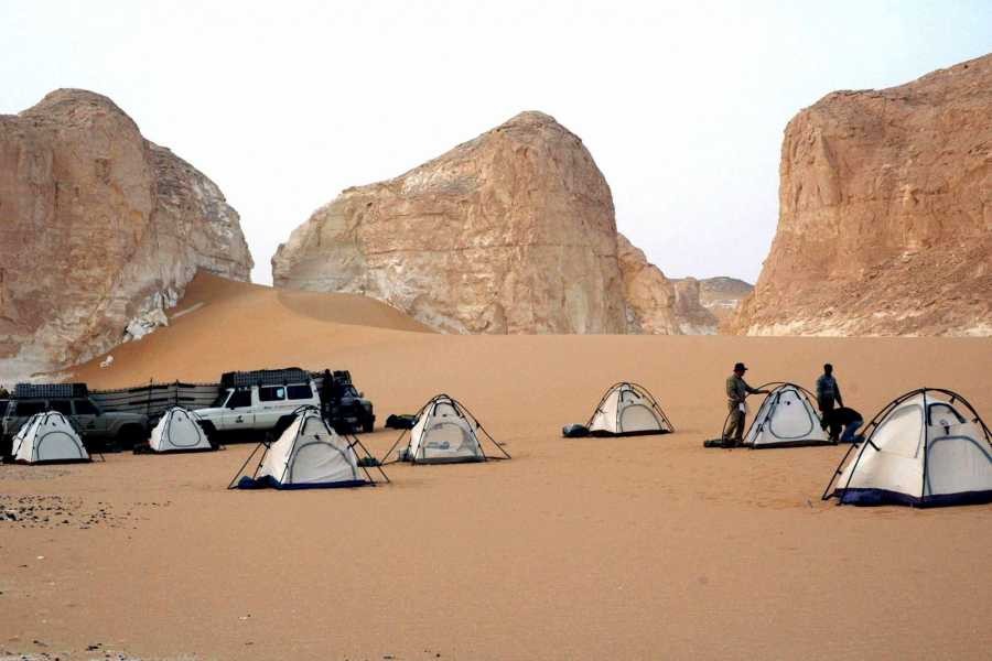 Camping in Bahariya Oasis