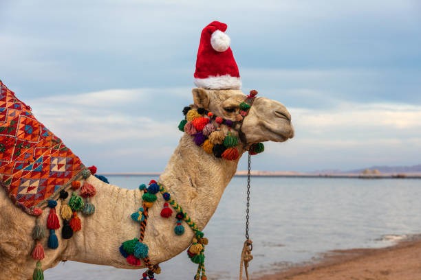 Cómo celebrar la Navidad en Egipto