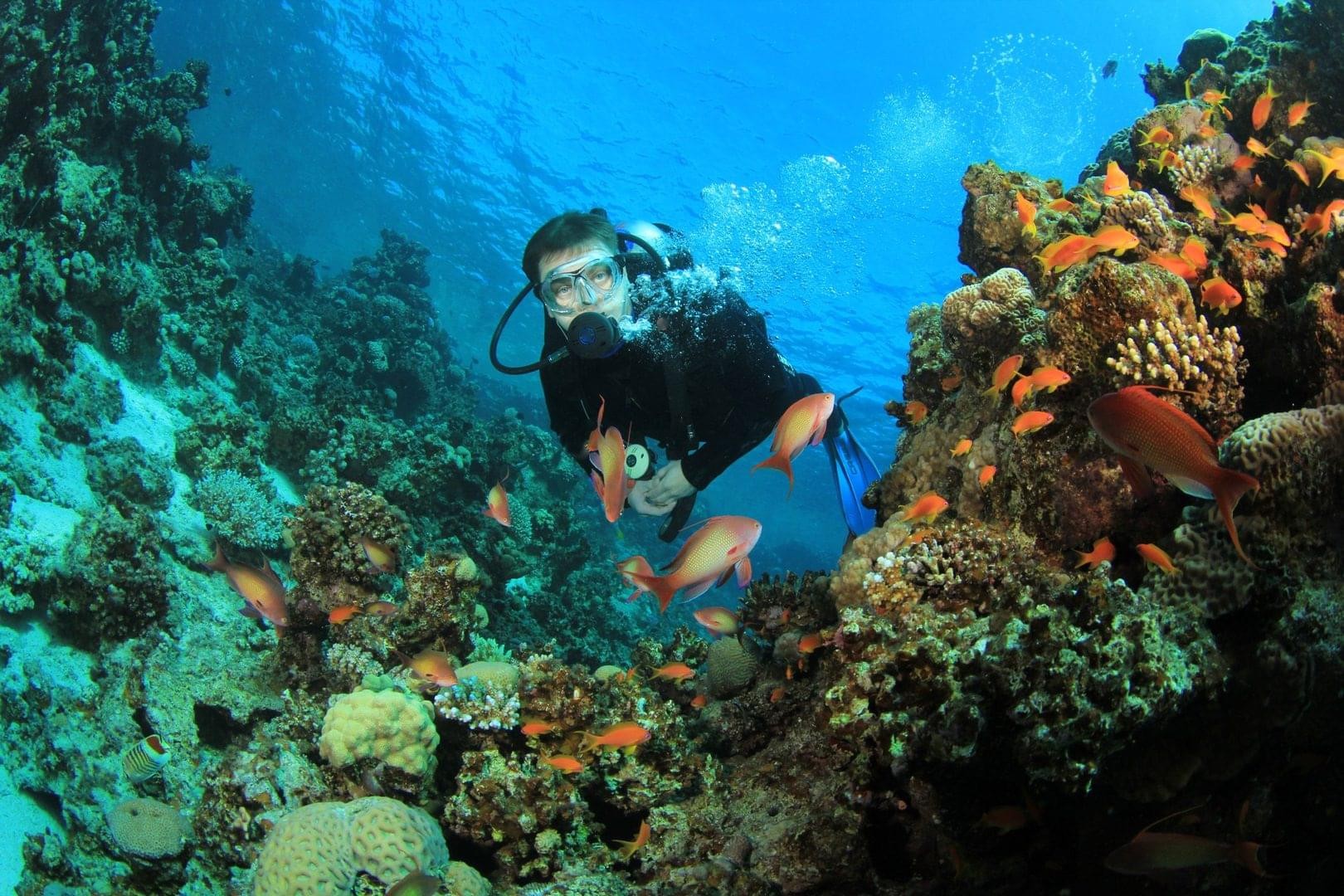 Diving in Sharm