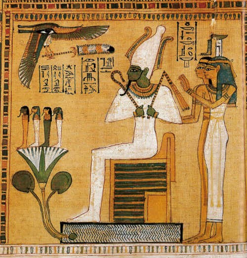 Family of Anubis