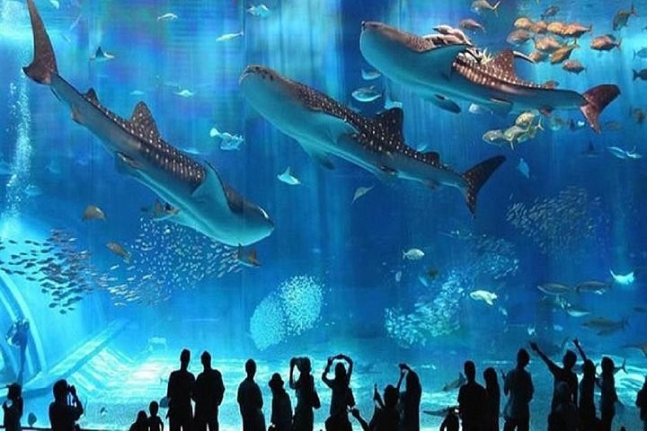 Grand Aquarium in Hurghada