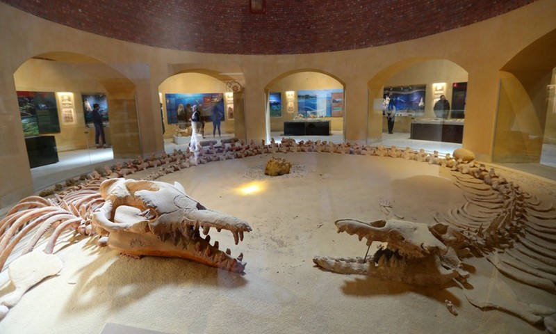 Museo de fósiles y cambio climático - Wadi Al Hitan