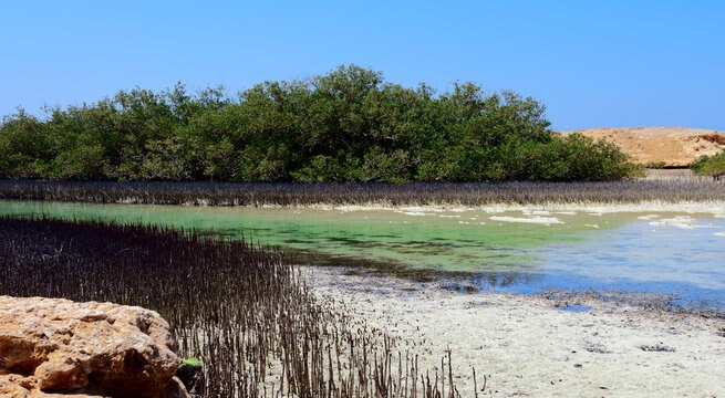 Parque Nacional Ras Mohammed