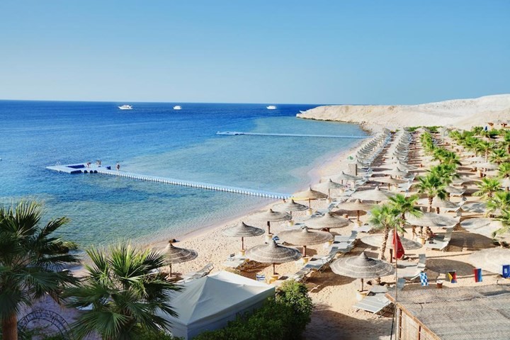 Sharks Bay - Sharm El Sheikh