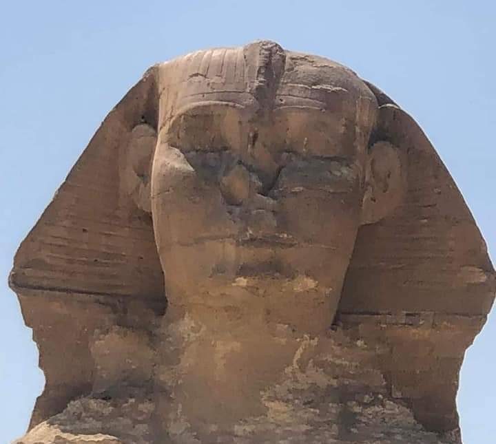 Sphinx closed eyes