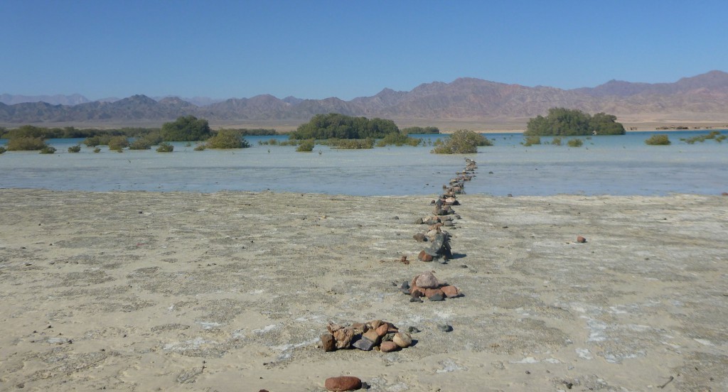 El área protegida de Nabq