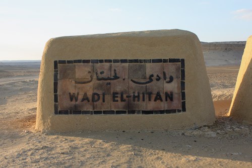 Wadi Al Hitan Egypt