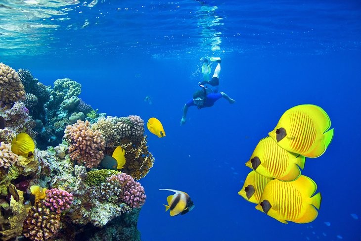 Top Red Sea Egypt activities and things to do