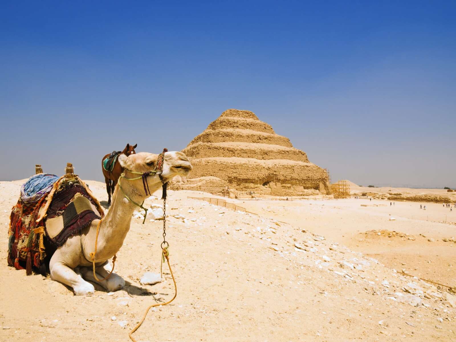 Saqqara new discovery, pink granite coffin of a royal clerk for King Ramses II