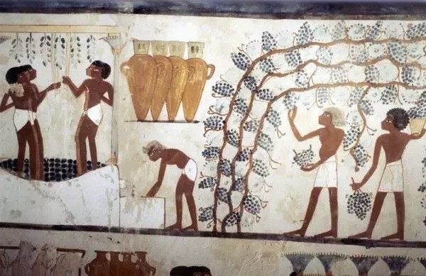 Beer In Ancient Egypt