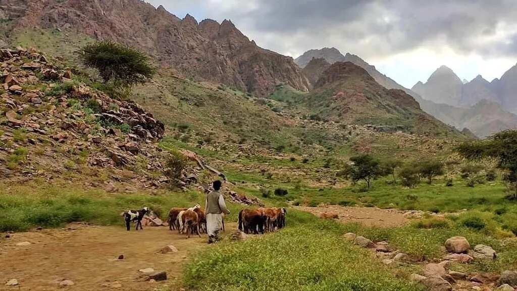 Top Famous National park in Egypt