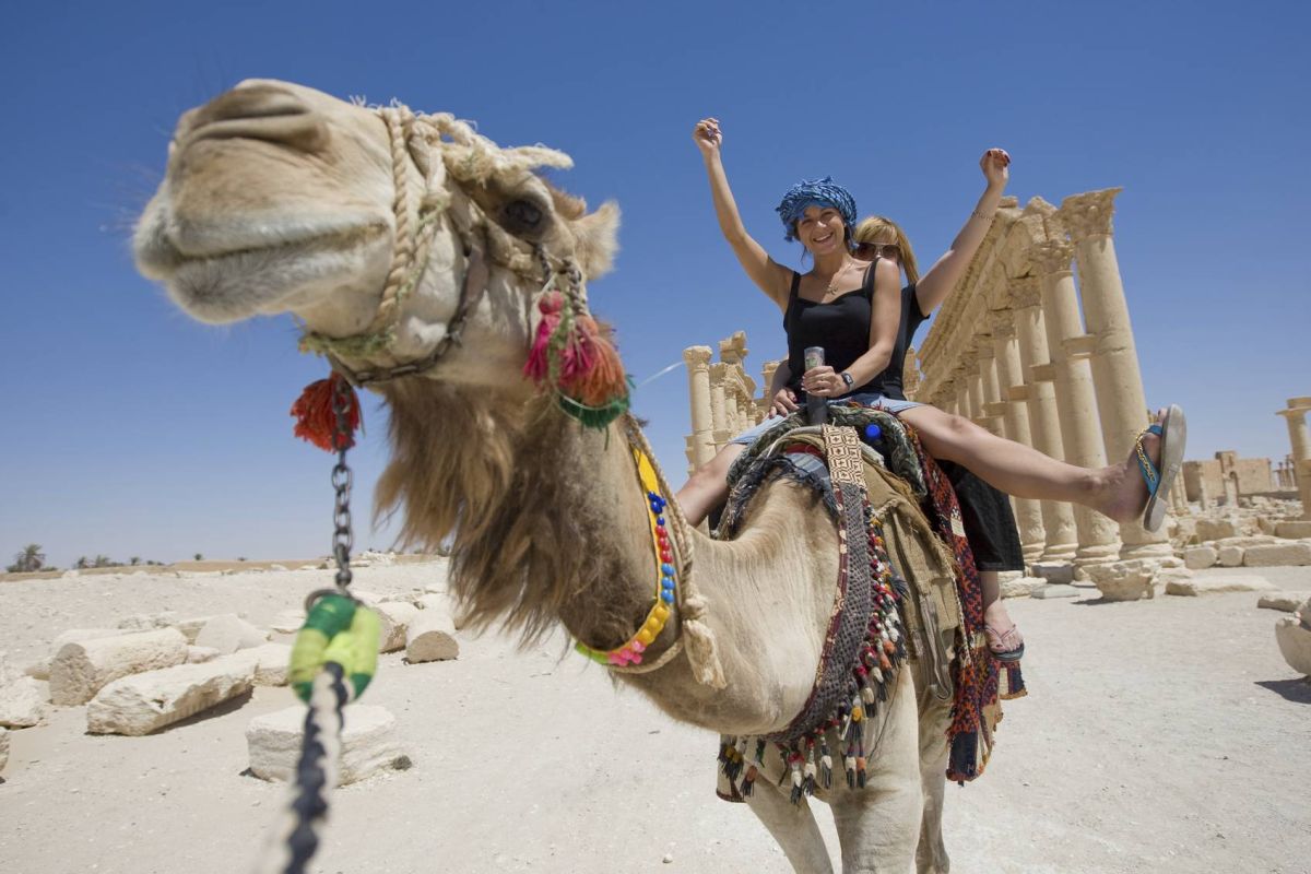 Private 15-Day Tour Package: Nile Cruise, Cairo, Hurghada, Alexandria, Luxor, Aswan