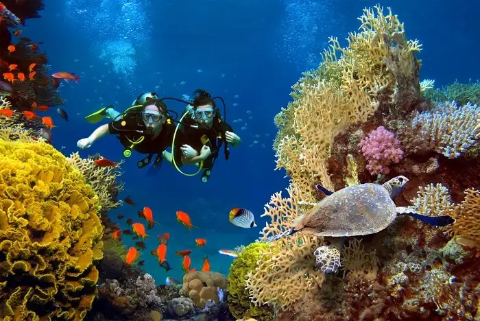 11 Spots For Scuba Diving In Egypt