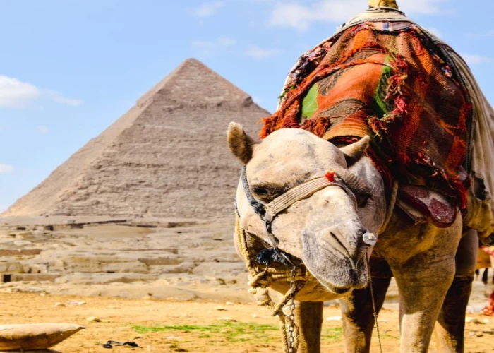 5 Trending Destinations in Cairo 5 Trending Destinations in Cairo