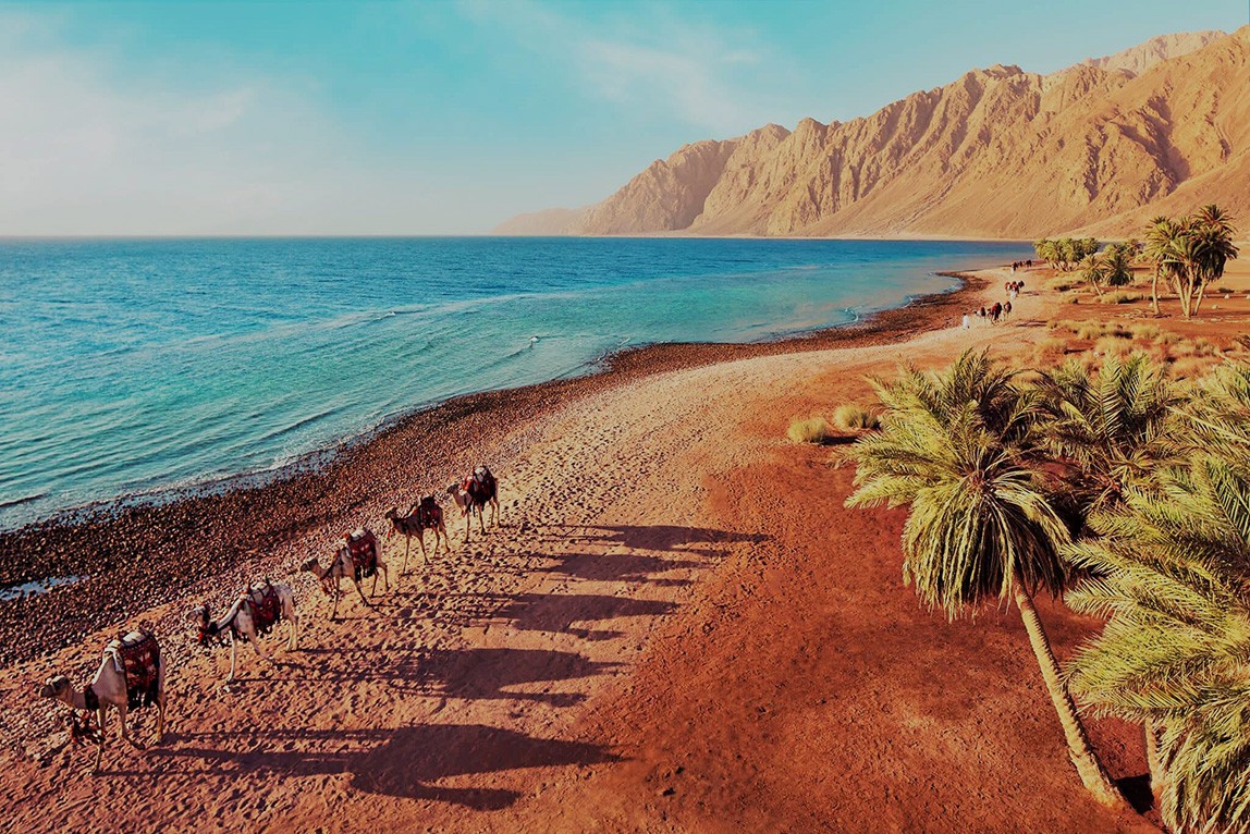 Dahab Day Tours