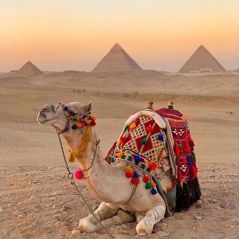 How to enjoy Giza day tours during your vacation?