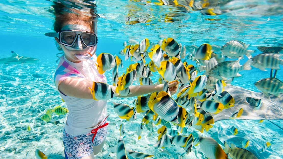 Best Snorkeling Spots in Egypt should be included in your Egypt travel package
