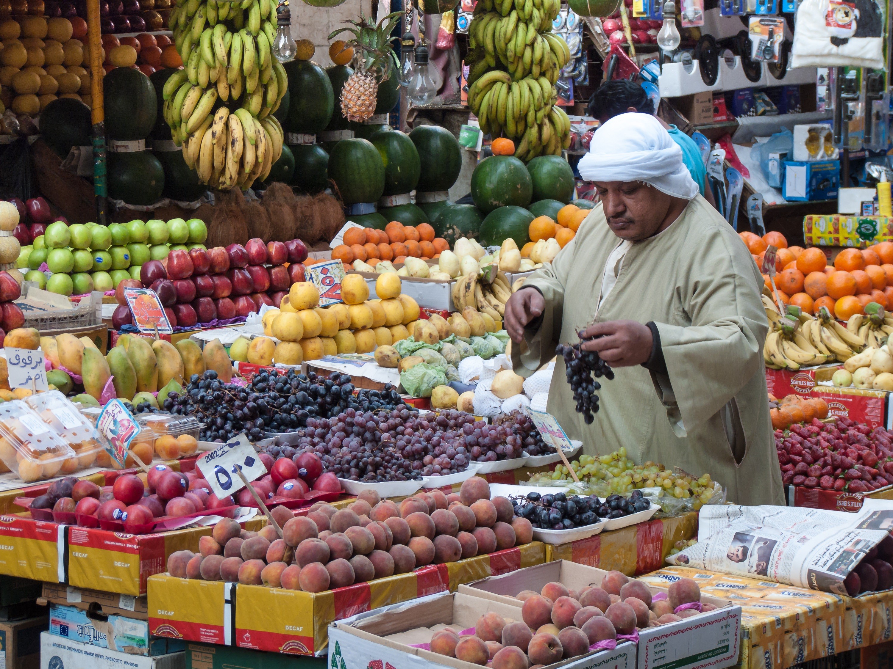 5 Things to do in Cairo Egypt as a local