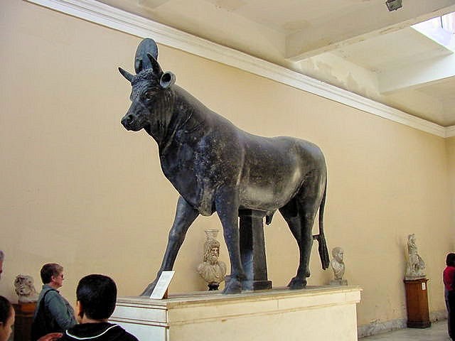 What Is Apis Bull?