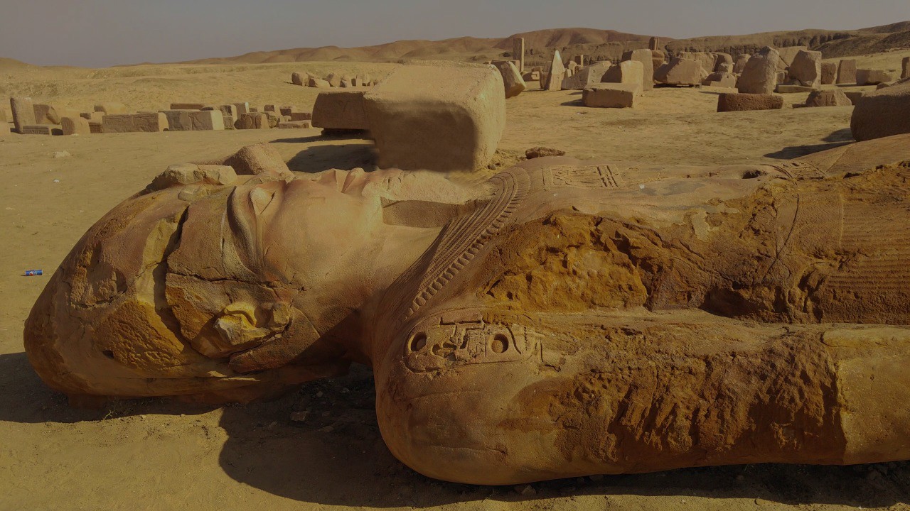 Tanis Day Tours