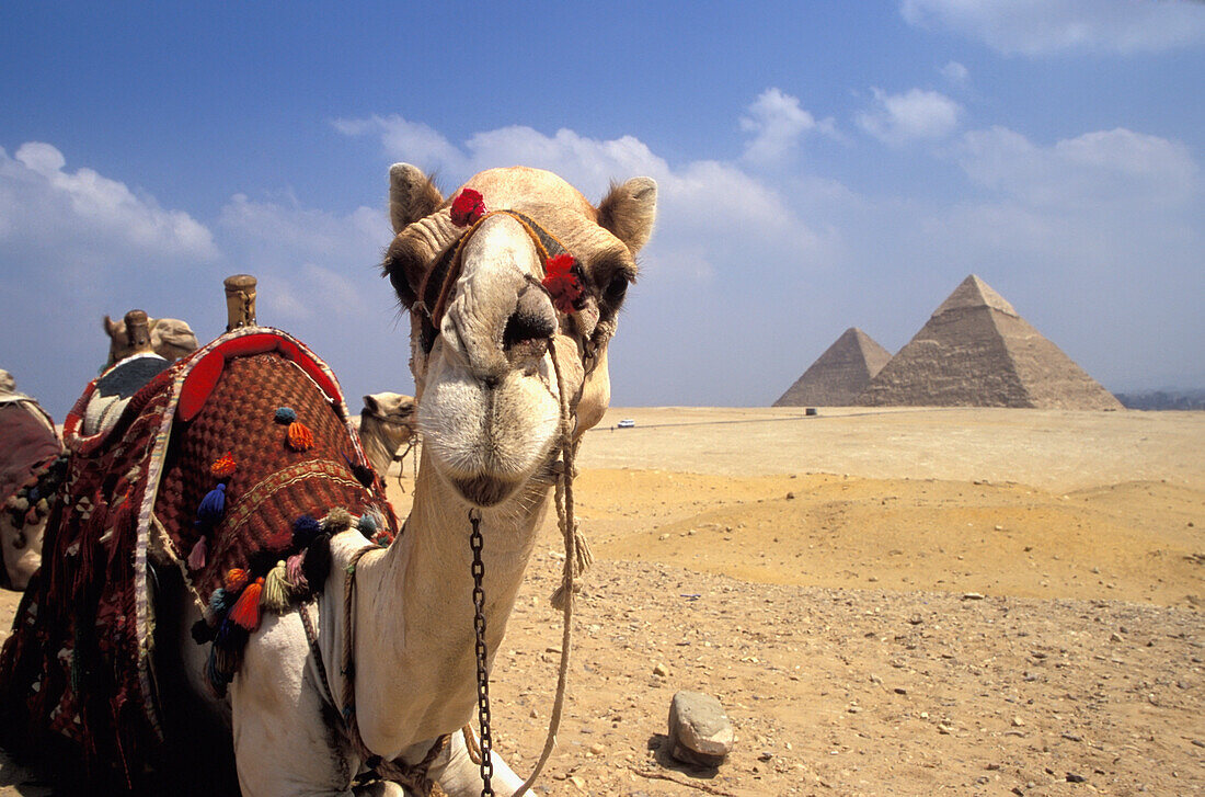 Secrets of the Pyramids: How They Were Built and Why