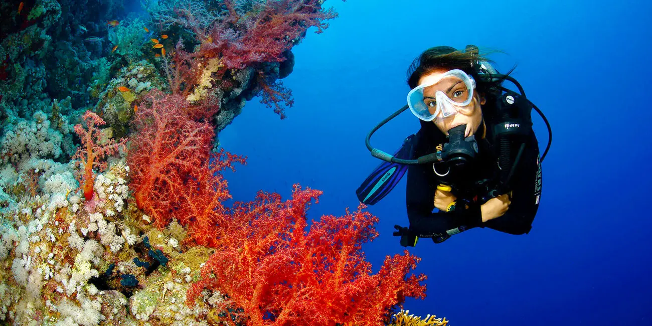 Diving Excursion in Marsa Alam
