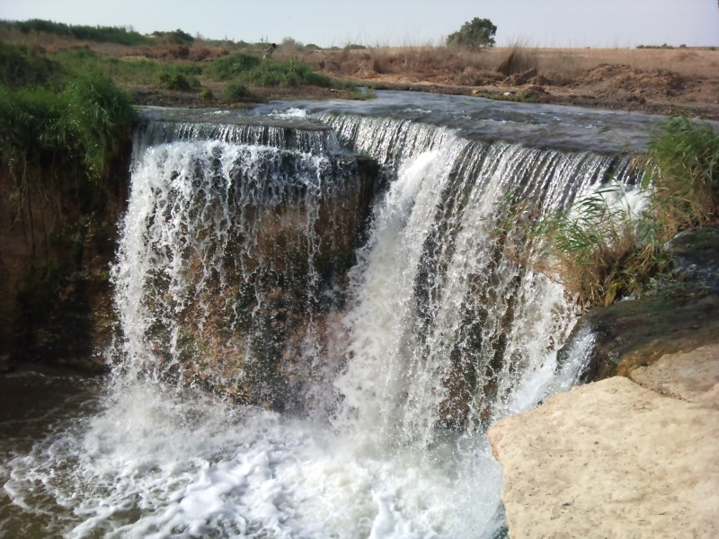 Things to do in Fayoum Oasis
