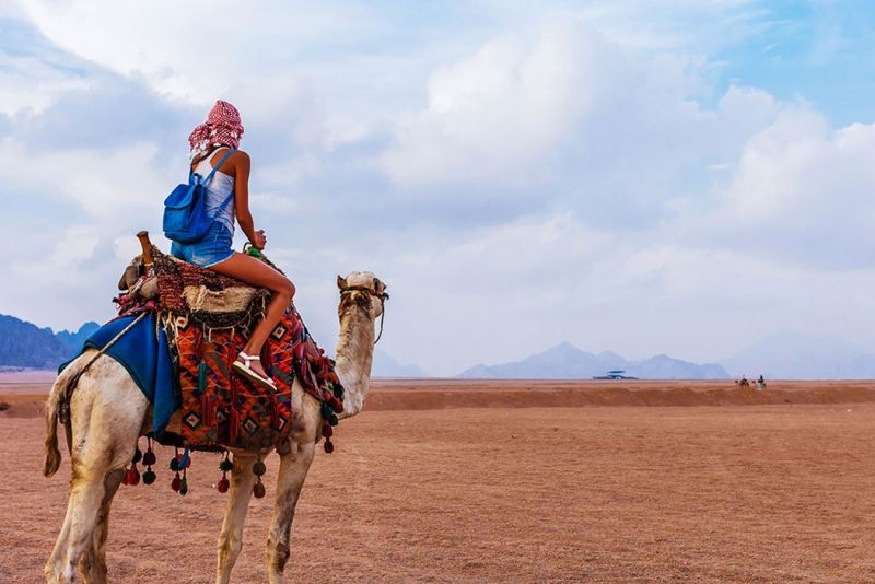 The History of Sinai Peninsula