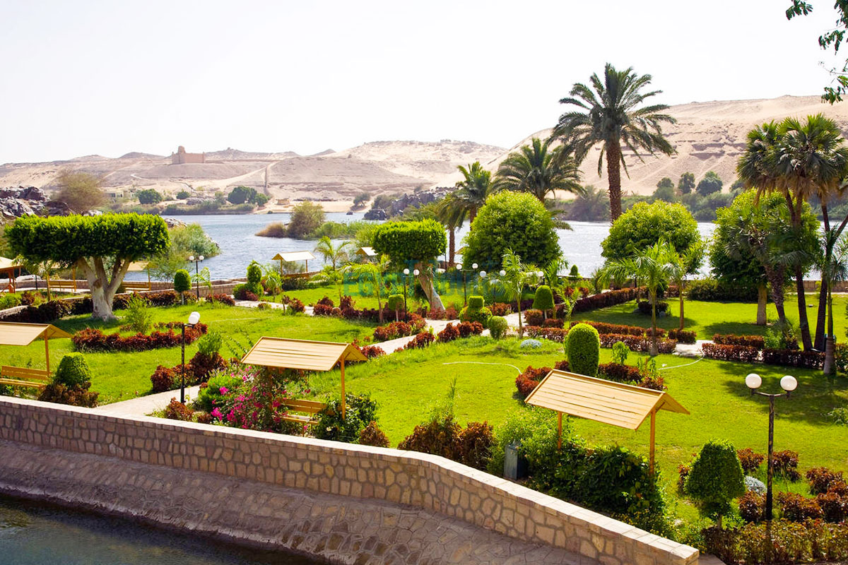 Aswan Local Experience