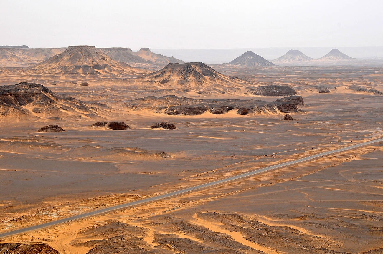 Bahariya Oasis