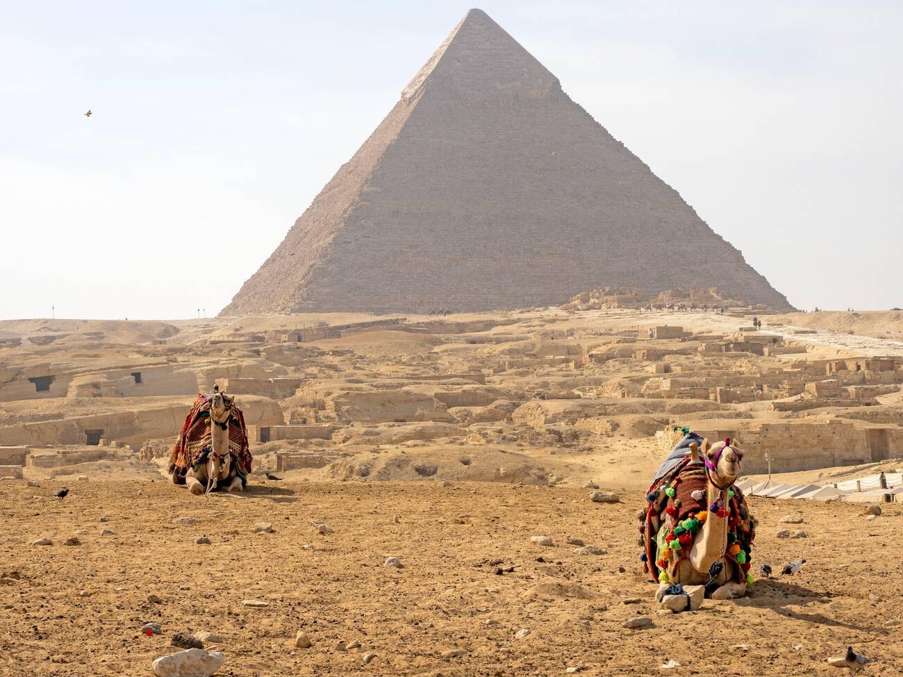 Giza Pyramids