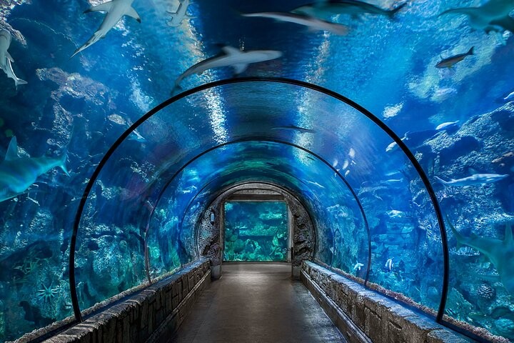Hurghada Grand Aquarium Hurghada Grand Aquarium