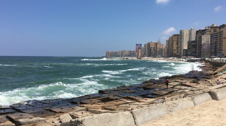 Discovering Alexandria Through Its Tombs, Legends, Libraries, and Lost Worlds
