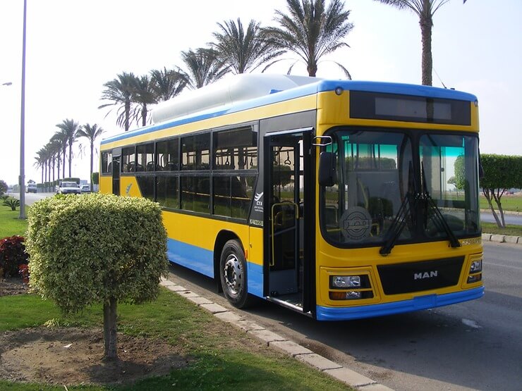 Cairo Bus