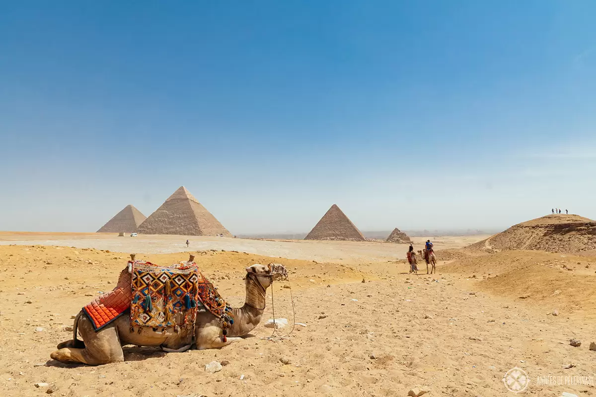 Private 8‑Day Cairo & Nile Cruise Tour