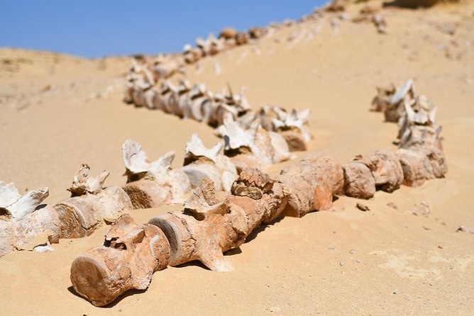 Private 8-Day UNESCO Treasure Hunt Tour in Cairo, Luxor & Aswan