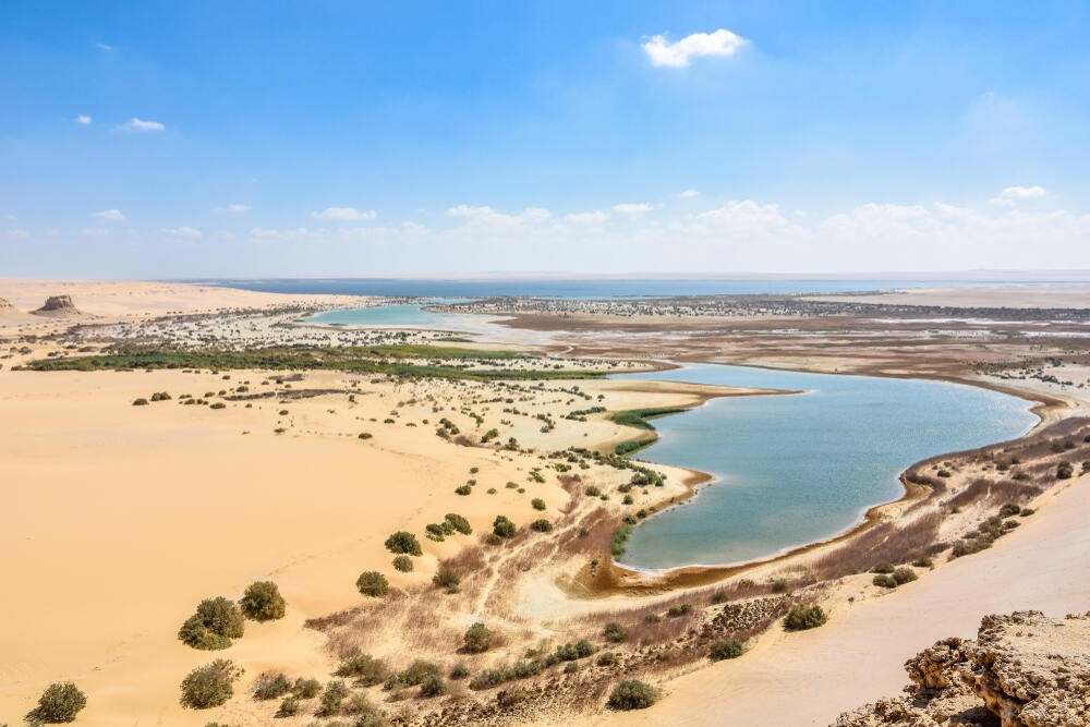 Fayoum Oasis